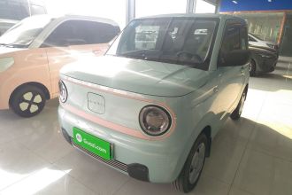 吉利银河 2023款 熊猫mini 200km 耐力熊