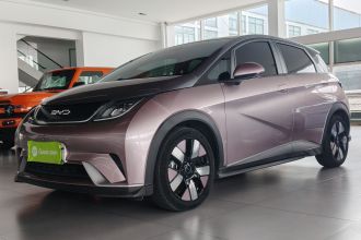 比亚迪 海豚 2021款 401km 骑士版