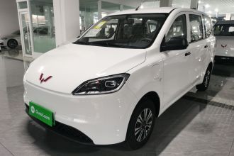 五菱汽车 五菱宏光新能源 2024款 纯电版 300KM 标准型