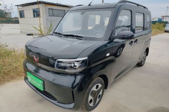 五菱汽车 五菱之光新能源 2025款 305km 进取型