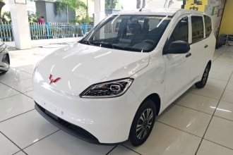 五菱汽车 五菱宏光新能源 2024款 纯电版 300KM 标准型