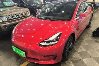 特斯拉 Model 3(进口) 2019款 长续航后驱版