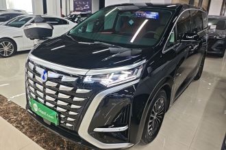 腾势D9 2024款 DM-i 1050 尊享型