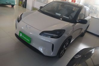 五菱汽车 五菱缤果PLUS 2024款 330km 五座版