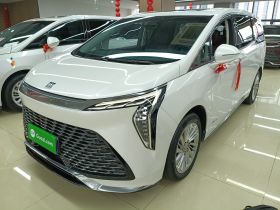 别克 世纪 2023款 2.0T 六座蕴世版