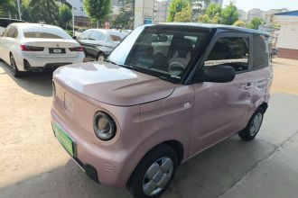 吉利银河 2024款 熊猫mini 200km 耐力熊