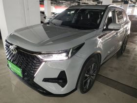 奇瑞 瑞虎8 PRO 2024款 冠军版 290T 两驱巅峰版 5座