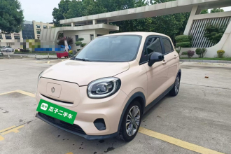 零跑汽车 零跑T03 2021款 400轻享版 磷酸铁锂