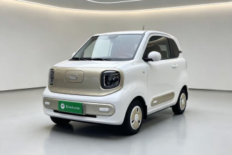 奔腾小马 2025款 222km 闪电马