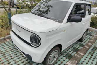 吉利银河 2024款 熊猫mini 200km 耐力熊
