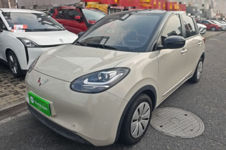 五菱汽车 五菱缤果 2023款 203km 轻享款