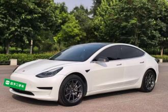 特斯拉 Model 3 2020款 标准续航后驱升级版