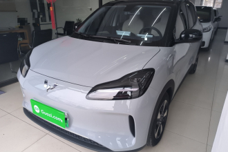 五菱汽车 五菱缤果PLUS 2024款 401km 五座版