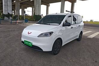 五菱汽车 五菱宏光新能源 2024款 纯电版 300KM 实用型
