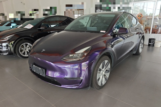 特斯拉 Model Y 2021款 标准续航后驱版