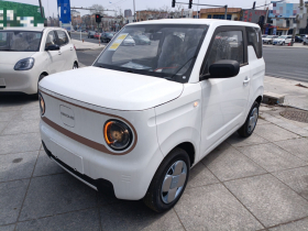 吉利银河 2024款 熊猫mini 200km 耐力熊