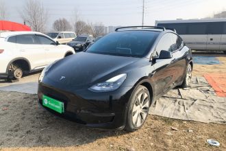 特斯拉 Model Y 2021款 长续航全轮驱动版