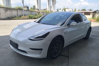 特斯拉 Model 3 2020款 标准续航后驱升级版