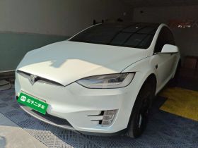 特斯拉 Model X 2019款 长续航版