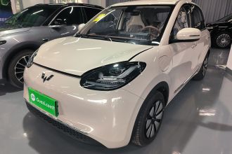 五菱汽车 五菱缤果 2025款 333km 悦享款