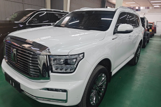 坦克500新能源 2023款 Hi4-T