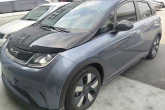 比亚迪 海豚 2023款 401km 骑士版