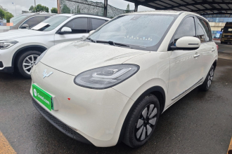 五菱汽车 五菱缤果 2023款 203km 舒享款