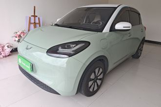 五菱汽车 五菱缤果 2023款 333km 悦享款