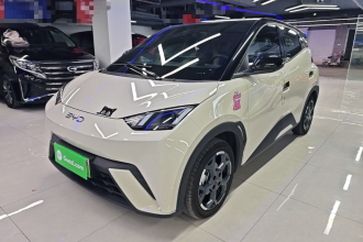 比亚迪 海鸥 2025款 405km 飞翔版