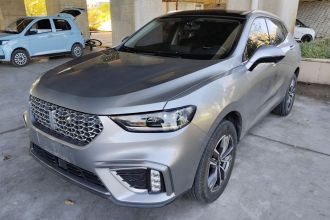 魏牌 VV5 2021款 1.5T 两驱颜先锋