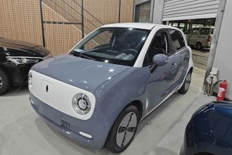 欧拉黑猫 2021款 301km 萌宠版