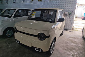 吉利银河 2025款 熊猫mini 210km 元气熊