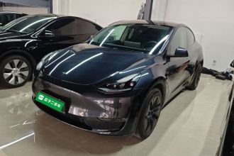 特斯拉 Model Y 2024款 长续航全轮驱动版
