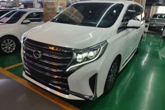 广汽传祺 传祺M8 2021款 领秀系列 390T 至尊版