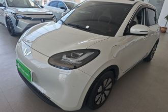 五菱汽车 五菱缤果 2024款 333km 悦享款