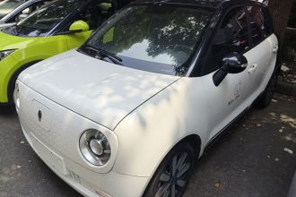 欧拉黑猫 2021款 351km 标准型