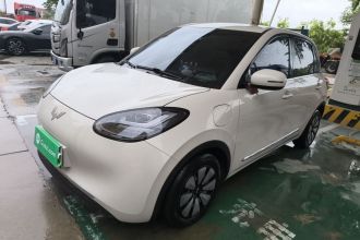 五菱汽车 五菱缤果 2023款 333km 悦享+款
