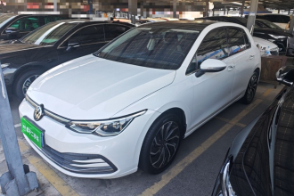 大众 高尔夫 2023款 280TSI DSG Pro