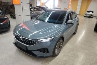 岚图汽车 岚图FREE 2021款 四驱标准增程专属豪华套装