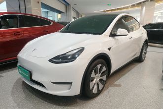 特斯拉 Model Y 2021款 标准续航后驱版