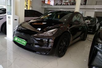 特斯拉 Model Y 2022款 Performance高性能全轮驱动版