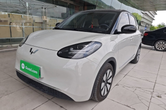 五菱汽车 五菱缤果 2023款 333km 灵犀互联款