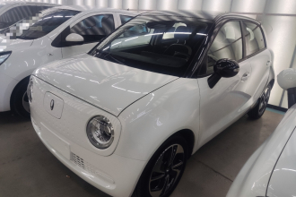 欧拉黑猫 2022款 351km 舒享型 三元锂