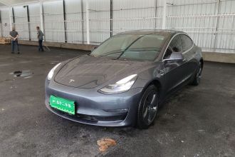 特斯拉 Model 3(进口) 2019款 长续航全轮驱动版