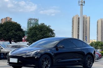 特斯拉 Model 3 2022款 后轮驱动版