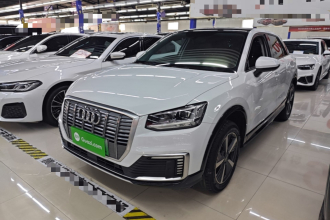 奥迪Q2L e-tron 2019款 Q2L e-tron 纯电智享型