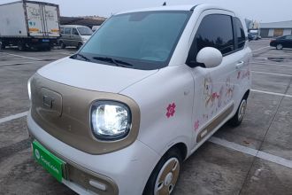 奔腾小马 2024款 170km 活力马