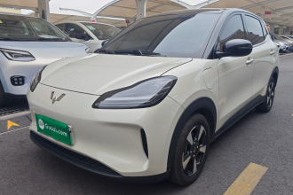 五菱汽车 五菱缤果PLUS 2024款 330km 五座版