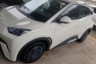 比亚迪 海鸥 2025款 305km 活力版