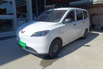 五菱汽车 五菱宏光新能源 2024款 纯电版 300KM 标准型